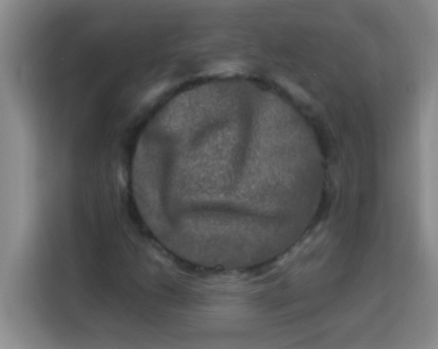 X0000113291206200910051054