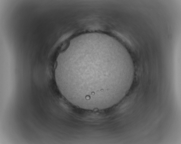 X0000113291207200910051054