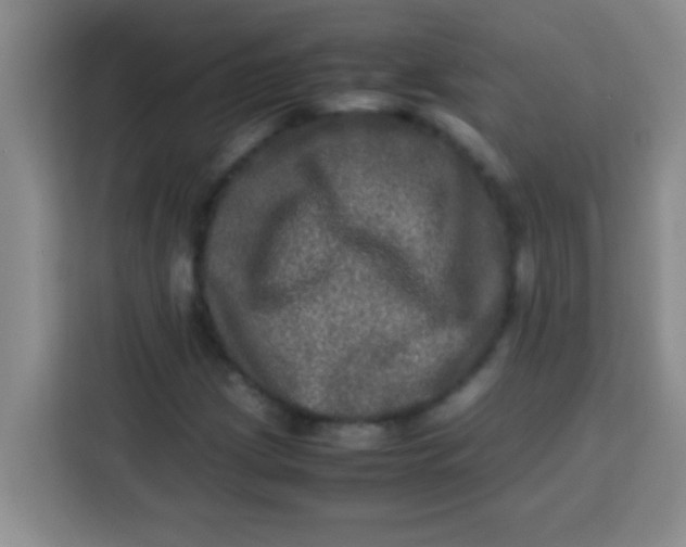 X0000113291209200910051054