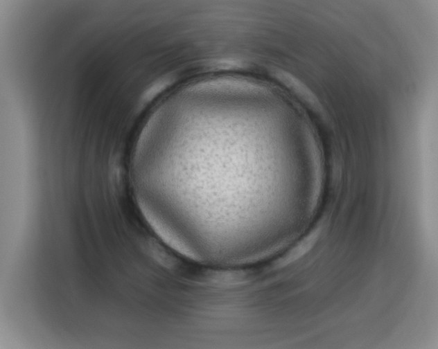 X0000113291210200910051054