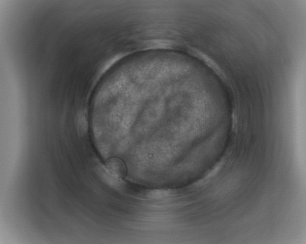 X0000113291212200910051054