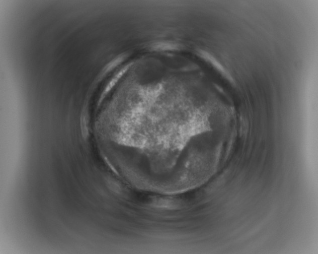 X0000113291213200910051054