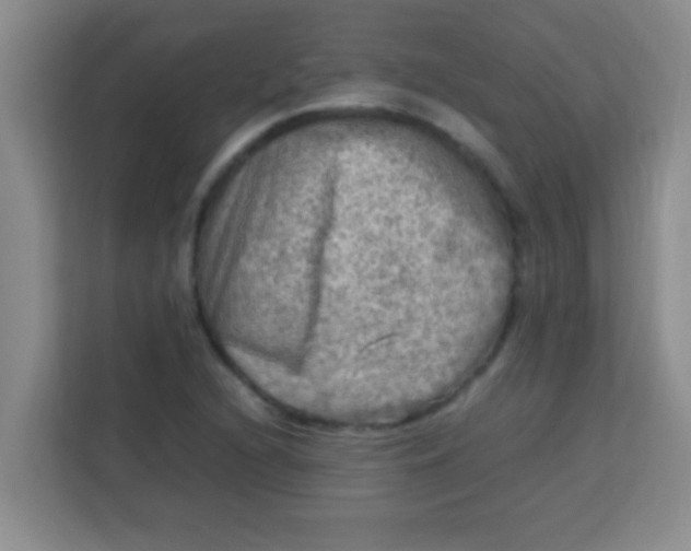 X0000113291216200910051054