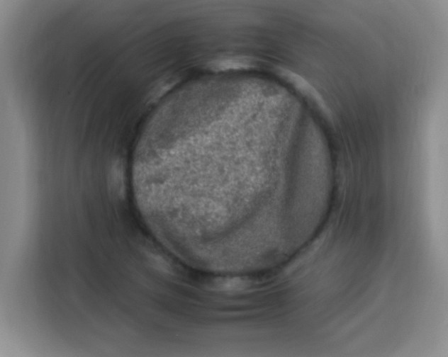 X0000113291217200910051054