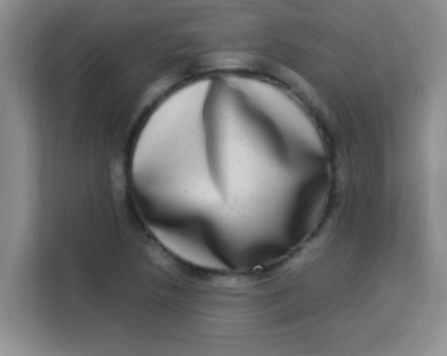 X0000113291218200910051054