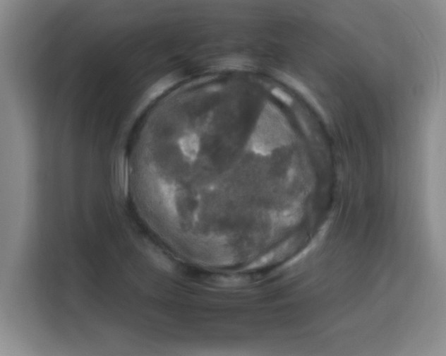 X0000113291219200910051054