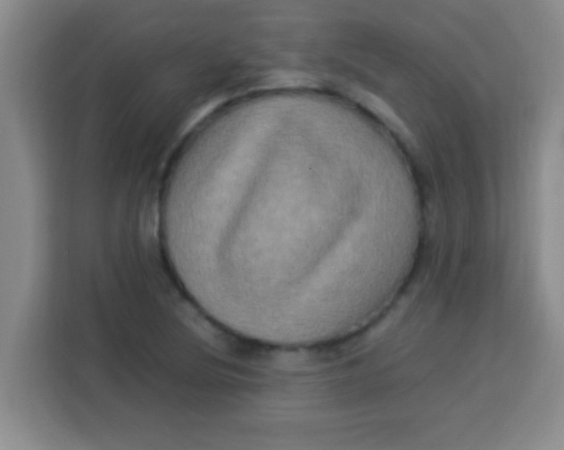 X0000113291220200910051054