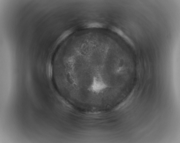 X0000113291221200910051054