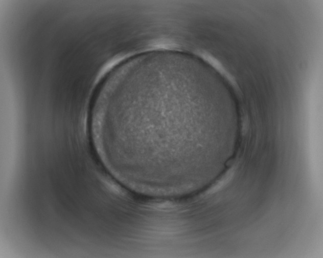 X0000113291222200910051054