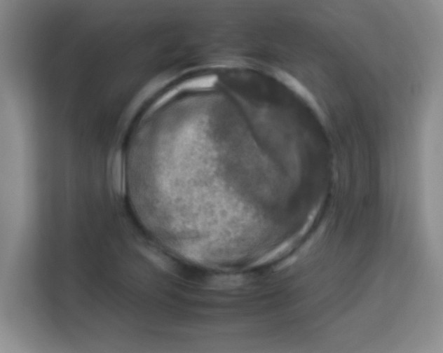 X0000113291223200910051054