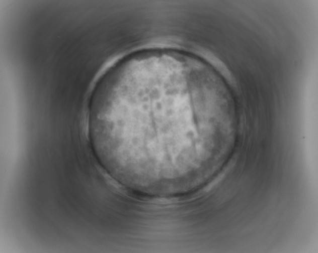 X0000113291224200910051054