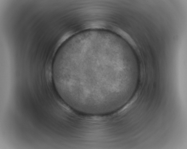 X0000113291226200910051054