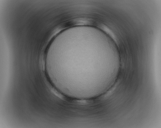 X0000113291227200910051054