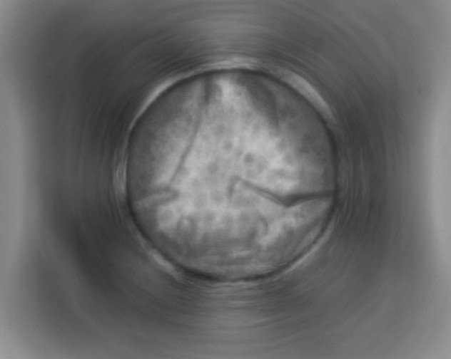 X0000113291228200910051054