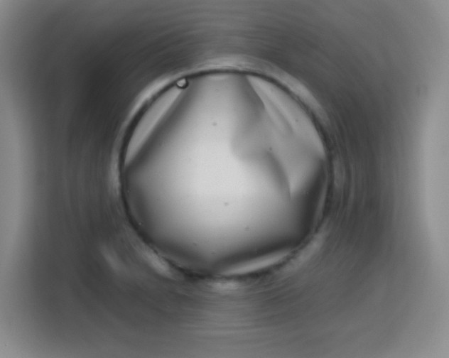 X0000113291230200910051054