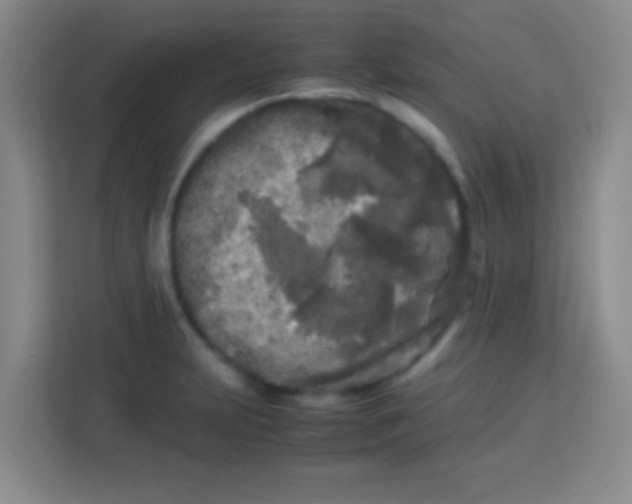 X0000113291231200910051054