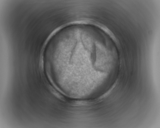 X0000113291232200910051054