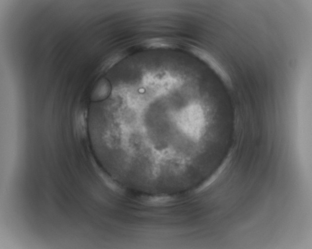 X0000113291233200910051054