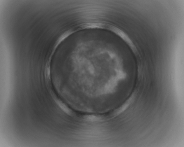 X0000113291234200910051054