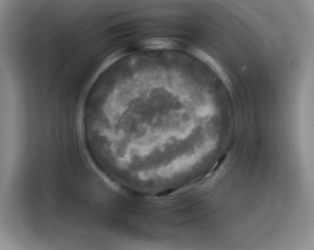 X0000113291235200910051054