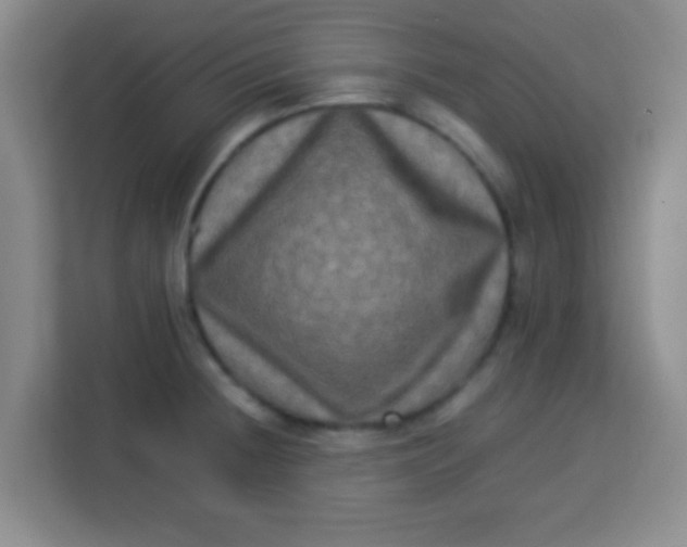 X0000113291236200910051054