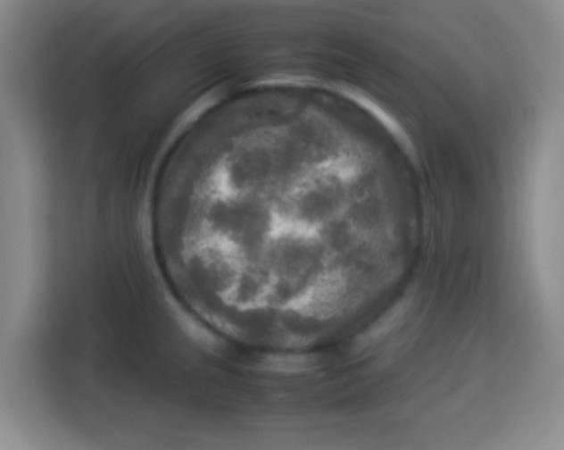 X0000113291237200910051054