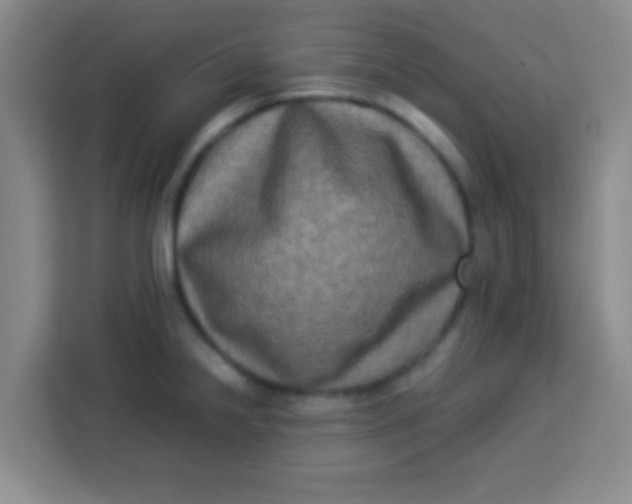 X0000113291238200910051054