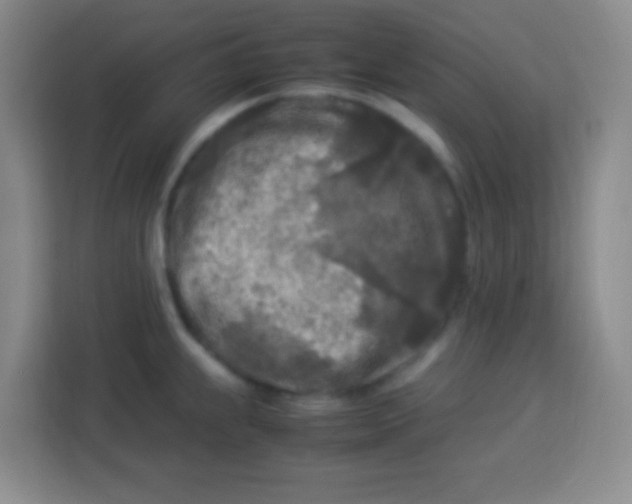 X0000113291239200910051054