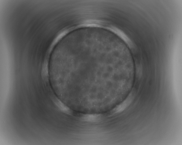 X0000113291240200910051054