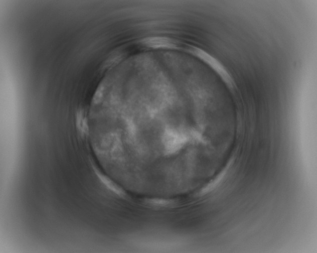 X0000113291241200910051054