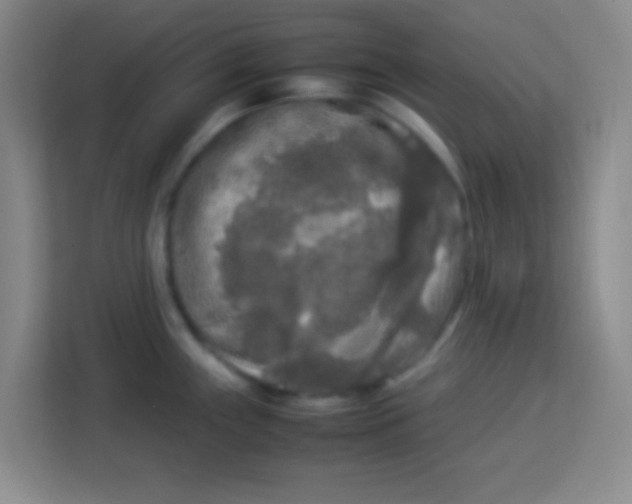 X0000113291243200910051054