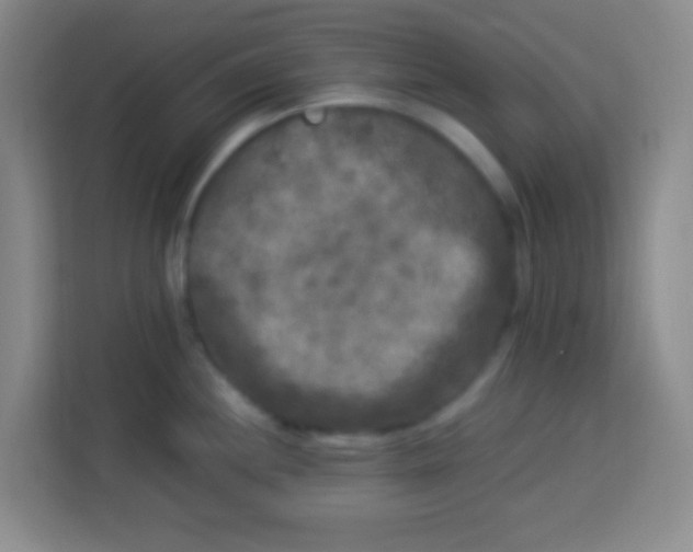 X0000113291244200910051054