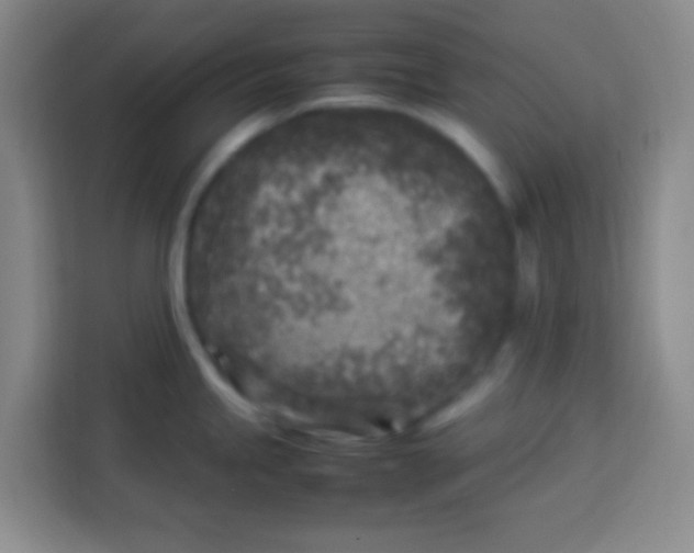 X0000113291245200910051054