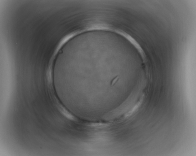 X0000113291246200910051054