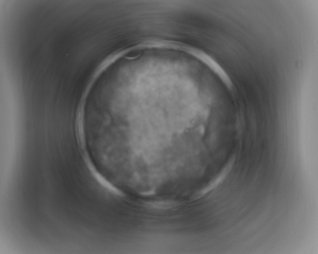 X0000113291247200910051054