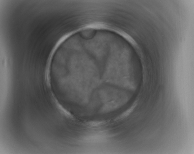 X0000113291248200910051054