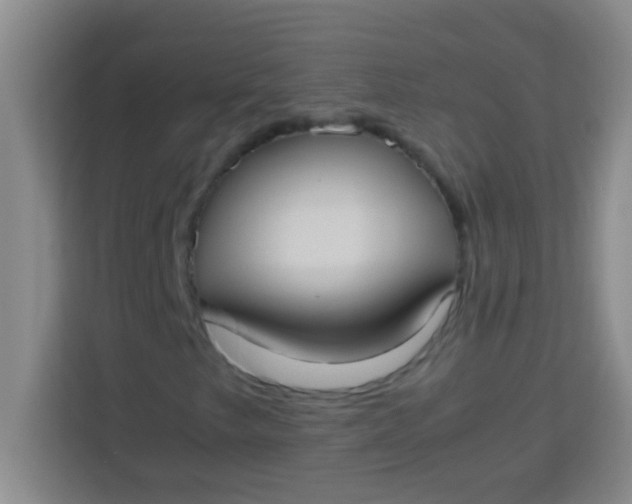 X0000113291249200910051053