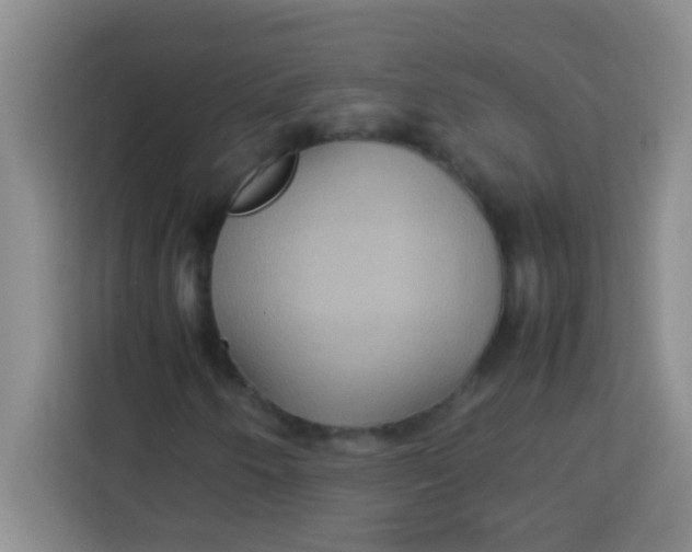 X0000113291250200910051053