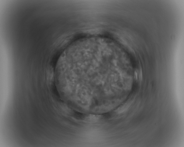 X0000113291251200910051053