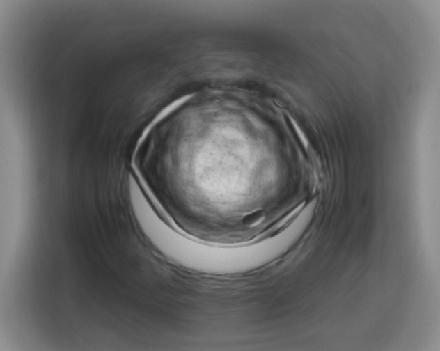 X0000113291252200910051053