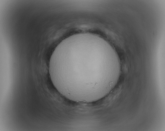 X0000113291253200910051053