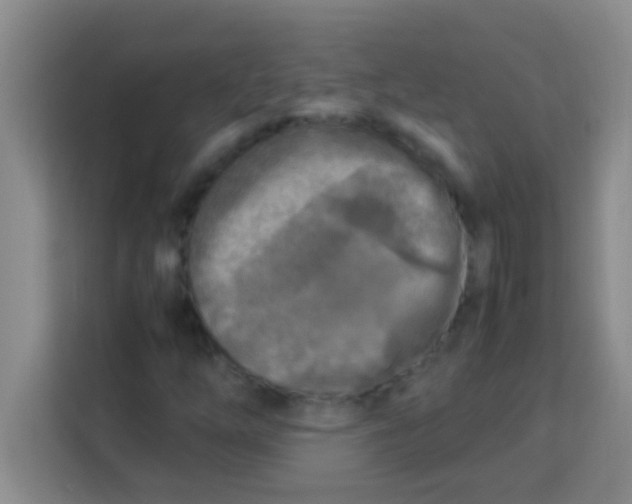 X0000113291254200910051053