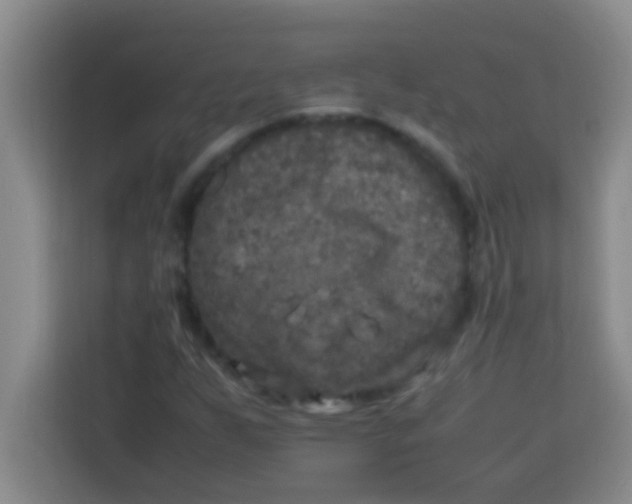 X0000113291255200910051053