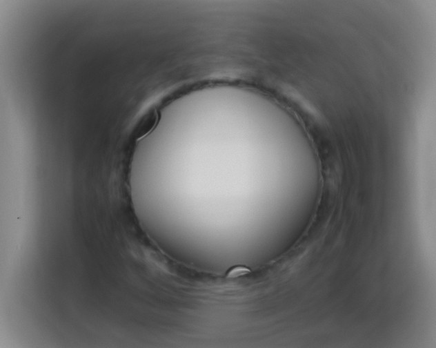 X0000113291256200910051053