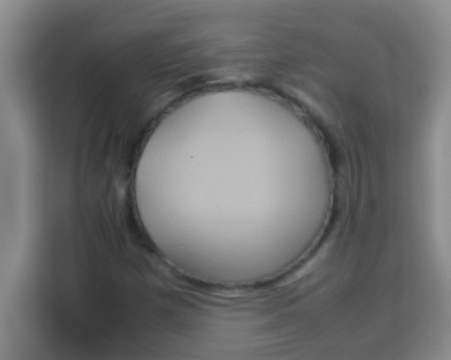 X0000113291257200910051053