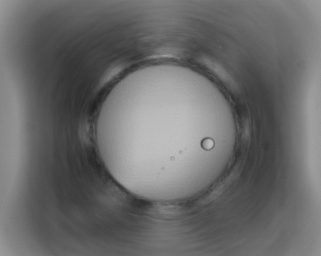 X0000113291258200910051053