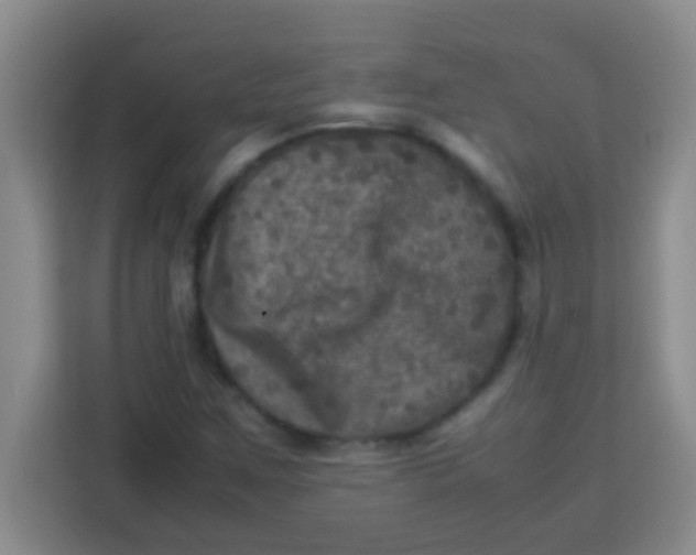 X0000113291259200910051053