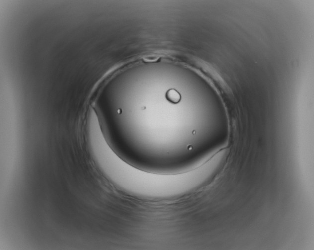 X0000113291260200910051053