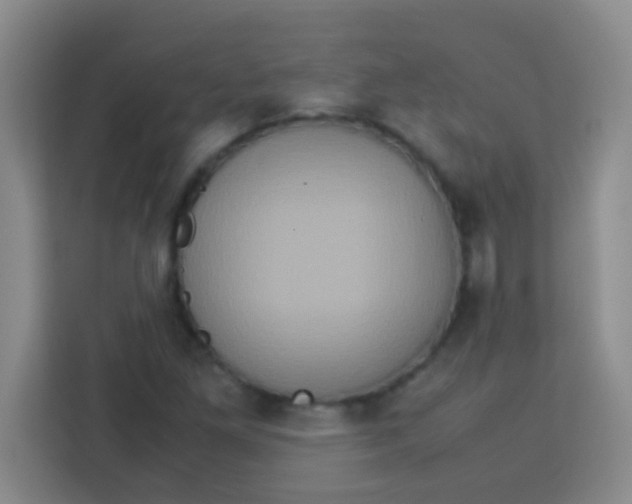 X0000113291261200910051053