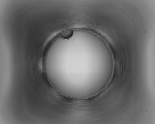 X0000113291262200910051053